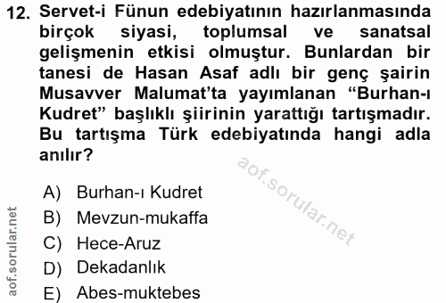 12. soru: Servet-i Fünun edebiyatının hazırlanmasında birçok siyasi, toplumsal ve sanatsal gelişmenin etkisi olmuştur. Bunlarda…