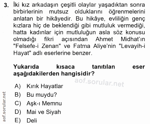 3. soru: İki kız arkadaşın çeşitli olaylar yaşadıktan sonra birbirlerinin mutsuz olduklarını öğrenmelerini anlatan bir hikâyed…