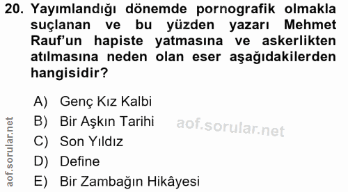 20. soru: Yayımlandığı dönemde pornografik olmakla suçlanan ve bu yüzden yazarı Mehmet Rauf'un hapiste yatmasına ve askerlikten…