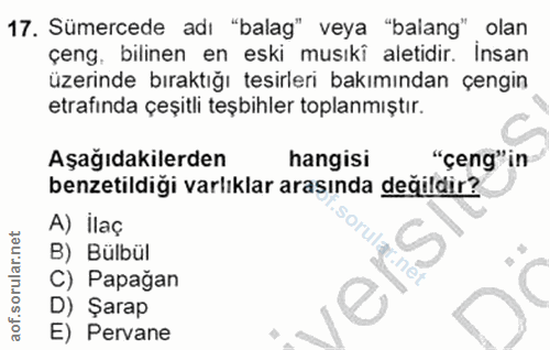17. soru: Sümercede adı "balag" veya "balang" olan çeng. bilinen en eski musıki aletidir. İnsan üzerinde bıraktığı tesirleri ba…