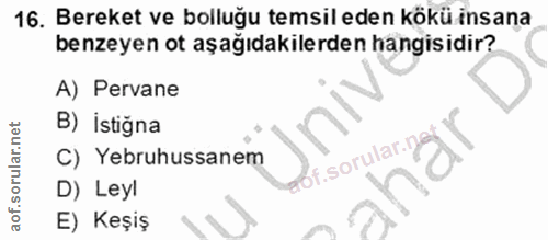16. soru: Bereket ve bolluğu temsil eden kökü insana benzeyen ot aşağıdakilerden hangisidir? A) Pervane B) İstiğna C) Yebruhuss…
