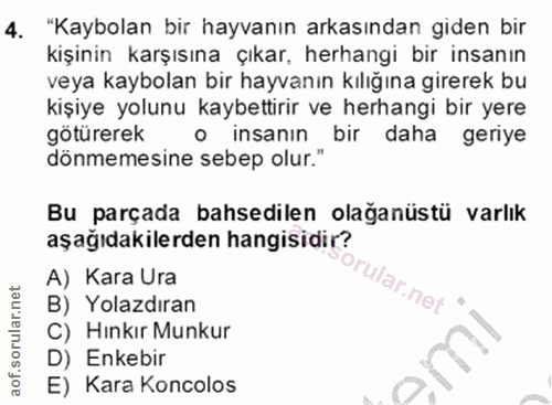 4. soru: "Kaybolan bir hayvanın arkasından giden bir kişinin karşısına çıkar, herhangi bir insanın veya kaybolan bir hayvanın…