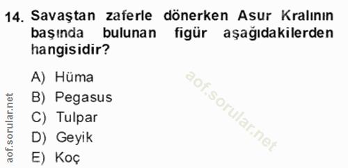 14. soru: Savaştan zaferle dönerken Asur Kralının başında bulunan figür aşağıdakilerden hangisidir? A) Hüma B) Pegasus C) Tulpa…