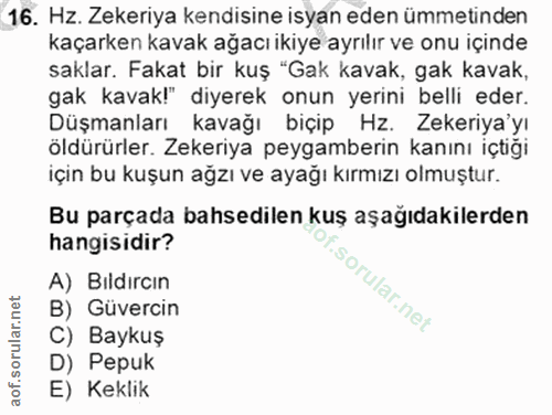 16. soru: Hz. Zekeriya kendisine isyan eden ümmetinden kaçarken kavak ağacı ikiye ayrılır ve onu içinde saklar. Fakat bir kuş "…