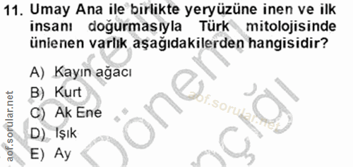 11. soru: Umay Ana ile birlikte yeryüzüne inen ve ilk insanı doğurmasıyla Türk mitolojisinde ünienen varlık aşağıdakilerden han…