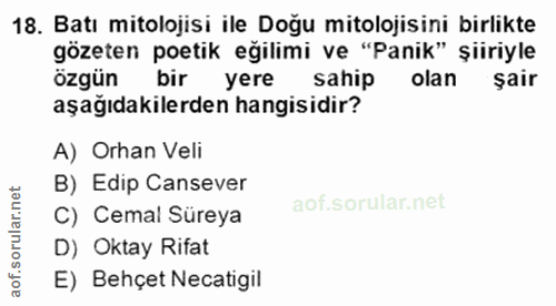 18. soru: Batı mitolojisi ile Doğu mitolojisini birlikte gözeten potik eğilimi ve "Panik" şiiriyle özgün bir yere sahip olan şa…