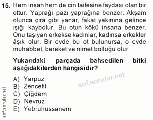 15. soru: Hem insan hem de cin taifesine faydası olan bir ottur. Yaprağı pazı yaprağına benzer. Akşam olunca çıra gibi yanar, f…
