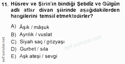 11. soru: Hüsrev ve Şirin'in bindiği Şebdiz ve Gülgün adlı atlar divan şiirinde aşağıdakilerden hangilerini temsil etmektedirle…