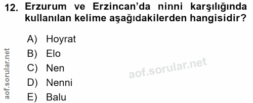 12. soru: Erzurum ve Erzincan'da ninni karşılığında kullanılan kelime aşağıdakilerden hangisidir? A) Hoyrat B) Elo C) Nen D) Ne…