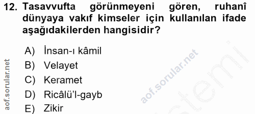 12. soru: Tasavvufta görünmeyeni gören, ruhani dünyaya vakıf kimseler için kullanılan ifade aşağıdakilerden hangisidir? A) Insa…