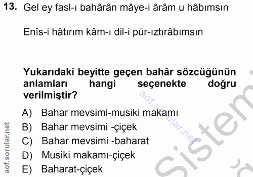 13. soru: Gel ey fasl-ı bahârân mâye-i ârâm u hâbımsın Enîs-i hâtırım kâm-ı dil-i pür-ıztırâbımsın Yukarıdaki beyitte geçen bah…