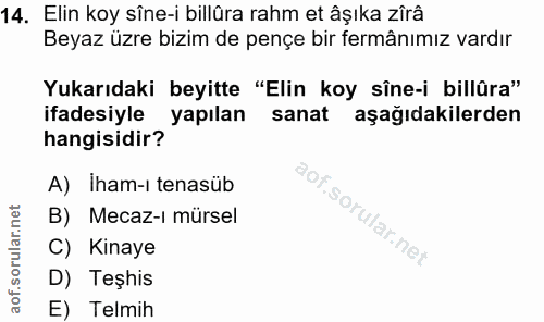 14. soru: Elin koy sîne-i billüra rahm et âşıka zîrâ Beyaz üzre bizim de pençe bir fermânımız vardır Yukarıdaki beyitte "Elin k…