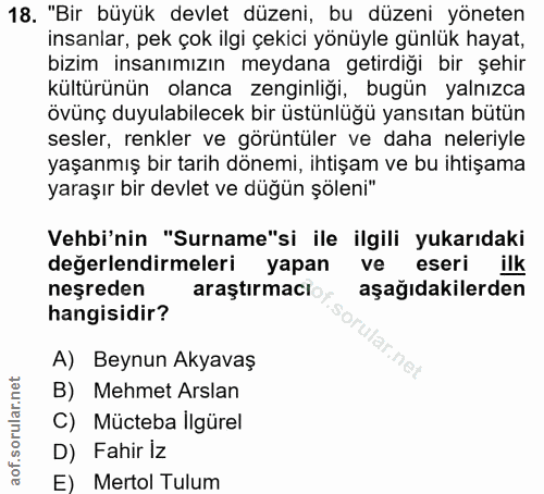 18. soru: "Bir büyük devlet düzeni, bu düzeni yöneten insanlar, pek çok ilgi çekici yönüyle günlük hayat, bizim insanımızın mey…