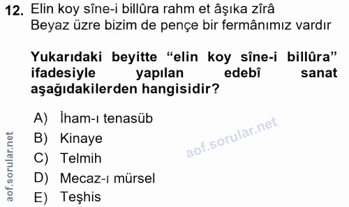 12. soru: Elin koy sîne-i billüra rahm et âşıka zirâ Beyaz üzre bizim de pençe bir fermânımız vardır Yukarıdaki beyitte "elin k…