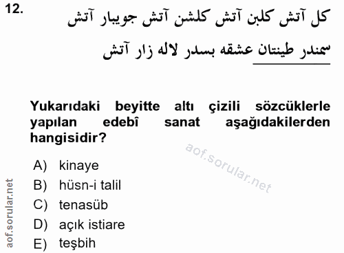 12. soru: Yukarıdaki beyitte altı çizili sözcüklerle yapılan edebi sanat aşağıdakilerden hangisidir? A) kinaye B) hüsn-i talil…