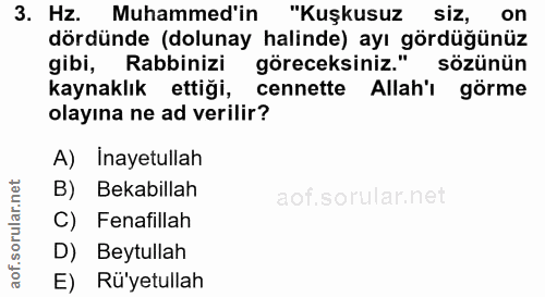 3. soru: Hz. Muhammed'in "Kuşkusuz siZ, on dördünde (dolunay halinde) ayı gördüğünüz gibi, Rabbinizi goreceksiniz." sözünün ka…