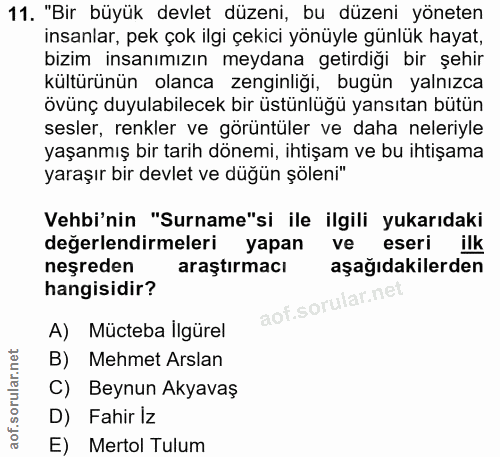 11. soru: "Bir büyük devlet düzeni, bu düzeni yöneten insanlar, pek çok ilgi çekici yönüyle günlük hayat, bizim insanımızın mey…