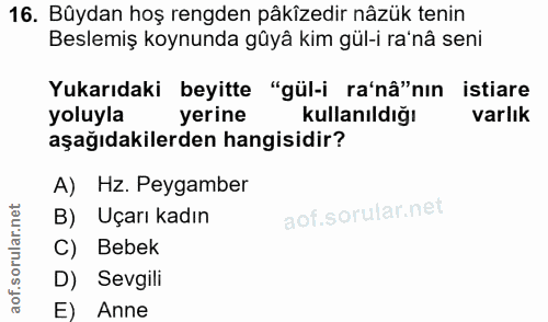 16. soru: Bûydan hoş rengden pâkîzedir nâzük tenin Beslemiş koynunda gûyâ kim gül-i ra'nâ seni Yukarıdaki beyitte "gül-i ra'nâ"…