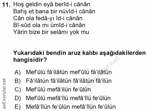 11. soru: Hoş geldin eya berîd-i cânân Bahş et bana bir nüvîd-i cânân Cân ola fedâ-yı îd-i cânân Bî-sûd ola mı ümîd-i cânân Yâr…