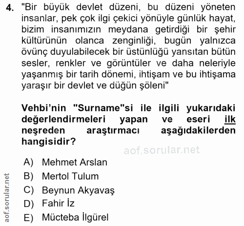4. soru: "Bir büyük devlet düzeni, bu düzeni yöneten insanlar, pek çok ilgi çekici yönüyle günlük hayat, bizim insanımızın mey…