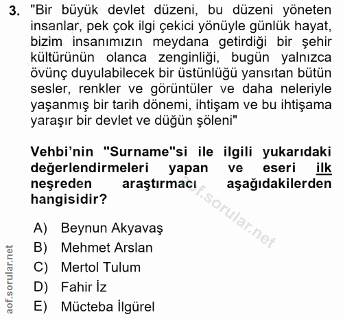 3. soru: "Bir büyük devlet düzeni, bu düzeni yöneten insanlar, pek çok ilgi çekici yönüyle günlük hayat, bizim insanımızın mey…