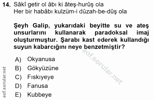 14. soru: Sâkî getir ol âbı ki âteş-hurûş ola Her bir habâbı kulzüm-i dûzah-be-dûş ola Şeyh Galip, yukarıdaki beyitte su ve ate…