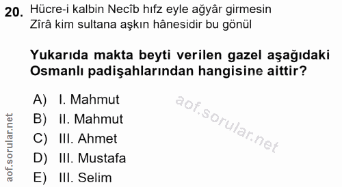 20. soru: Hücre-i kalbin Necib hıfz eyle ağyår girmesin Zîrâ kim sultana aşkın hânesidir bu gönül Yukarıda makta beyti verilen…