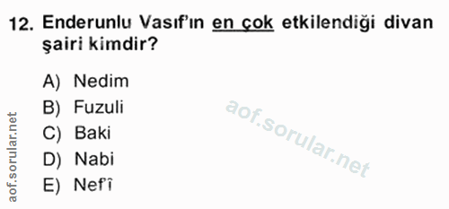 12. soru: Enderunlu Vasıf'ın en çok etkilendiği divan şairi kimdir? A) Nedim B) Fuzuli C) Baki D) Nabi E) Nefi