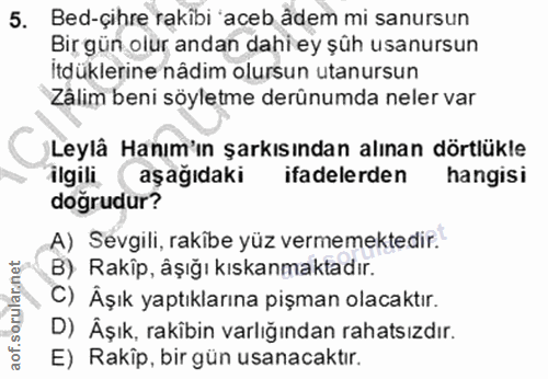 5. soru: Bed-çihre rakibi 'aceb ådem mi sanursun Bir gün olur andan dahi ey şüh usanursun İtdüklerine nâdim olursun utanursun…