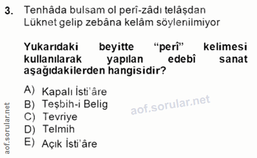 3. soru: Tenhâda bulsam ol perî-zâdı telâşdan Lüknet gelip zebâna kelâm söylenilmiyor Yukarıdaki beyitte "peri" kelimesi kulla…
