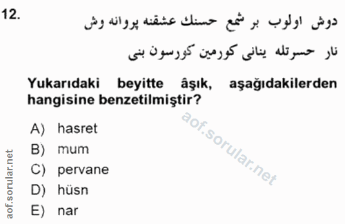 12. soru: Yukarıdaki beyitte âşık, aşağıdakilerden hangisine benzetilmiştir? A) hasret B) mum C) pervane D) hüsn E) nar