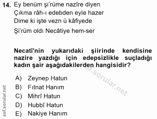 14. soru: Ey benüm şi'rüme nazire diyen Çıkma râh-ı edebden eyle hazer Dime ki işte vezn ü kâfiyede Şü'rüm oldı Necâtiye hem-se…