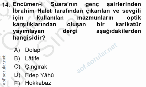 14. soru: Encümen-i Şura'nın genç şairlerinden İbrahim Halet tarafından çıkarılan ve sevgili için ę kullanılan mazmunların opti…