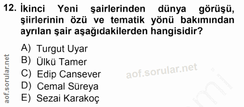 12. soru: Ikinci Yeni şairlerinden dünya görüşü, şiirlerinin özü ve tematik yönü bakımından ayrılan şair aşağıdakilerden hangis…