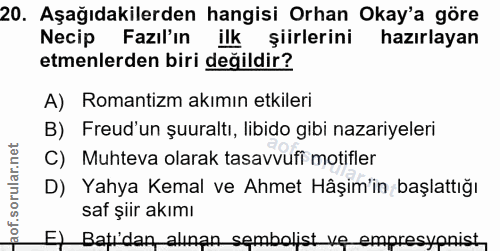 20. soru: Aşağıdakilerden hangisi Orhan Okay'a göre Necip Fazıl'ın ilk şiirlerini hazırlayan etmenlerden biri değildir? A) Roma…