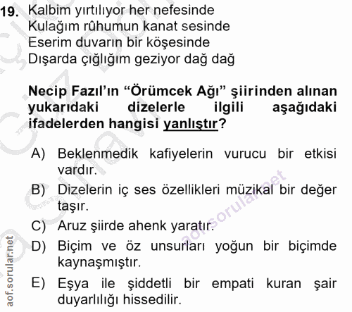 19. soru: Kalbim yırtılıyor her nefesinde Kulağım rûhumun kanat sesinde Eserim duvarın bir köşesinde Dışarda çığlığım geziyor d…
