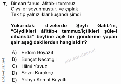 7. soru: Bir sarı fanus, âfitâb-ı temmuz Giysiler soyunmuştur, ve çıplak Tek tip yalnızlıklar kuşandı şimdi Yukarıdaki dizeler…