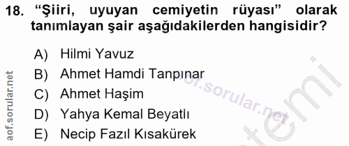 18. soru: "Şiiri, uyuyan cemiyetin rüyası" olarak tanımlayan şair aşağıdakilerden hangisidir? A) Hilmi Yavuz B) Ahmet Hamdi Tap…