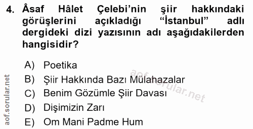 4. soru: Âsaf Hâlet Çelebi'nin şiir hakkındaki görüşlerini açıkladığı "İstanbul" adlı dergideki dizi yazısının adı aşağıdakile…