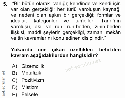 5. soru: "Bir bütün olarak varlığı; kendinde ve kendi için var olan gerçekliği; her türlü varoluşun kaynağı ve nedeni olan aşk…