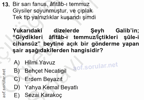 13. soru: Bir sarı fanus, âfitâb-ı temmuz Giysiler soyunmuştur, ve çıplak Tek tip yalnızlıklar kuşandı şimdi Yukarıdaki dizeler…