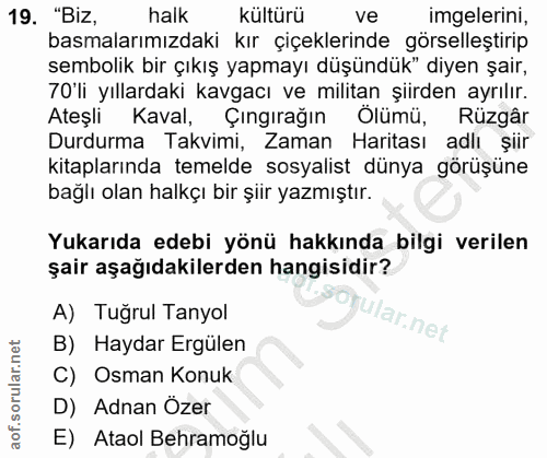 19. soru: "BiZ, halk kültürü ve imgelerini, basmalarımızdaki kır çiçeklerinde görselleştirip sembolik bir çıkış yapmayı düşündü…