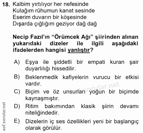 18. soru: Kalbim yırtılıyor her nefesinde Kulağım rühumun kanat sesinde Eserim duvarın bir köşesinde Dışarda çığlığım geziyor d…