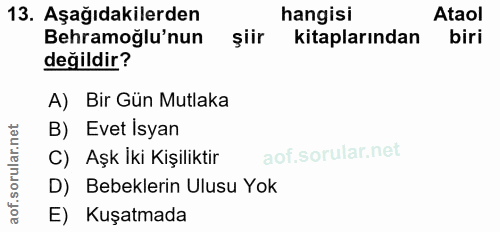 13. soru: Aşağıdakilerden hangisi Ataol Behramoğlu'nun şiir kitaplarından biri değildir? A) Bir Gün Mutlaka B) Evet Isyan C) Aş…
