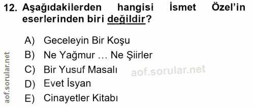 12. soru: Aşağıdakilerden hangisi Ismet Özel'in eserlerinden biri değildir? A) Geceleyin Bir Koşu rular.net B) Ne Yağmur ... Ne…