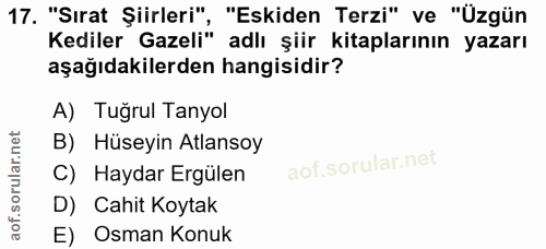 17. soru: "Sırat Şiirleri", "Eskiden Terzi" ve "Üzgün Kediler Gazeli" adlı şiir kitaplarının yazarı aşağıdakilerden hangisidir?…