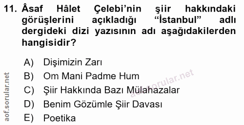 11. soru: Âsaf Hâlet Çelebi'nin şiir hakkındaki görüşlerini açıkladığı "Istanbul" adlı dergideki dizi yazısının adı aşağıdakile…