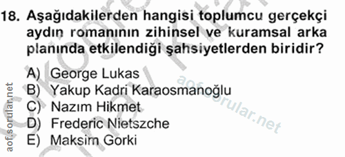 18. soru: Aşağıdakilerden hangisi toplumcu gerçekçi aydın romanının zihinsel ve kuramsal arka planında etkilendiği şahsiyetlerd…