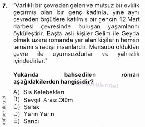 7. soru: "Varlıklı bir çevreden gelen ve mutsuz bir evlilik geçirmiş olan bir genç kadınla, yine aynı çevreden örgütlere katıl…