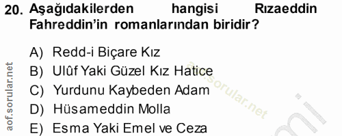 20. soru: Aşağıdakilerden hangisi Rizaeddin Fahreddin'in romanlarından biridir? A) Redd-i Biçare Kız B) Ulûf Yaki Güzel Kız Hat…